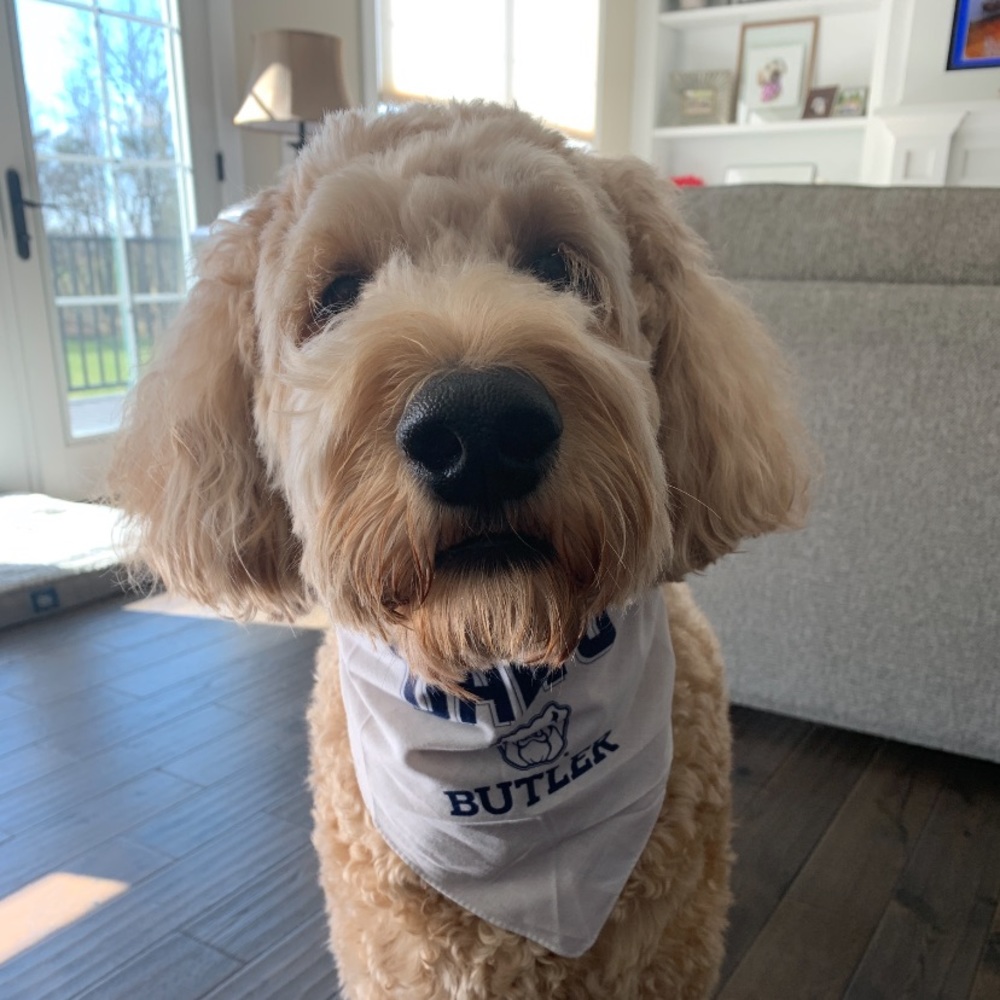 Meet your Posher, Diane